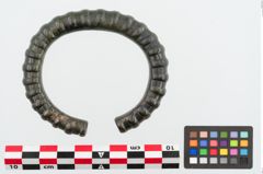 Foto von Bronzearmreif (NHMW-PRAE-024918)